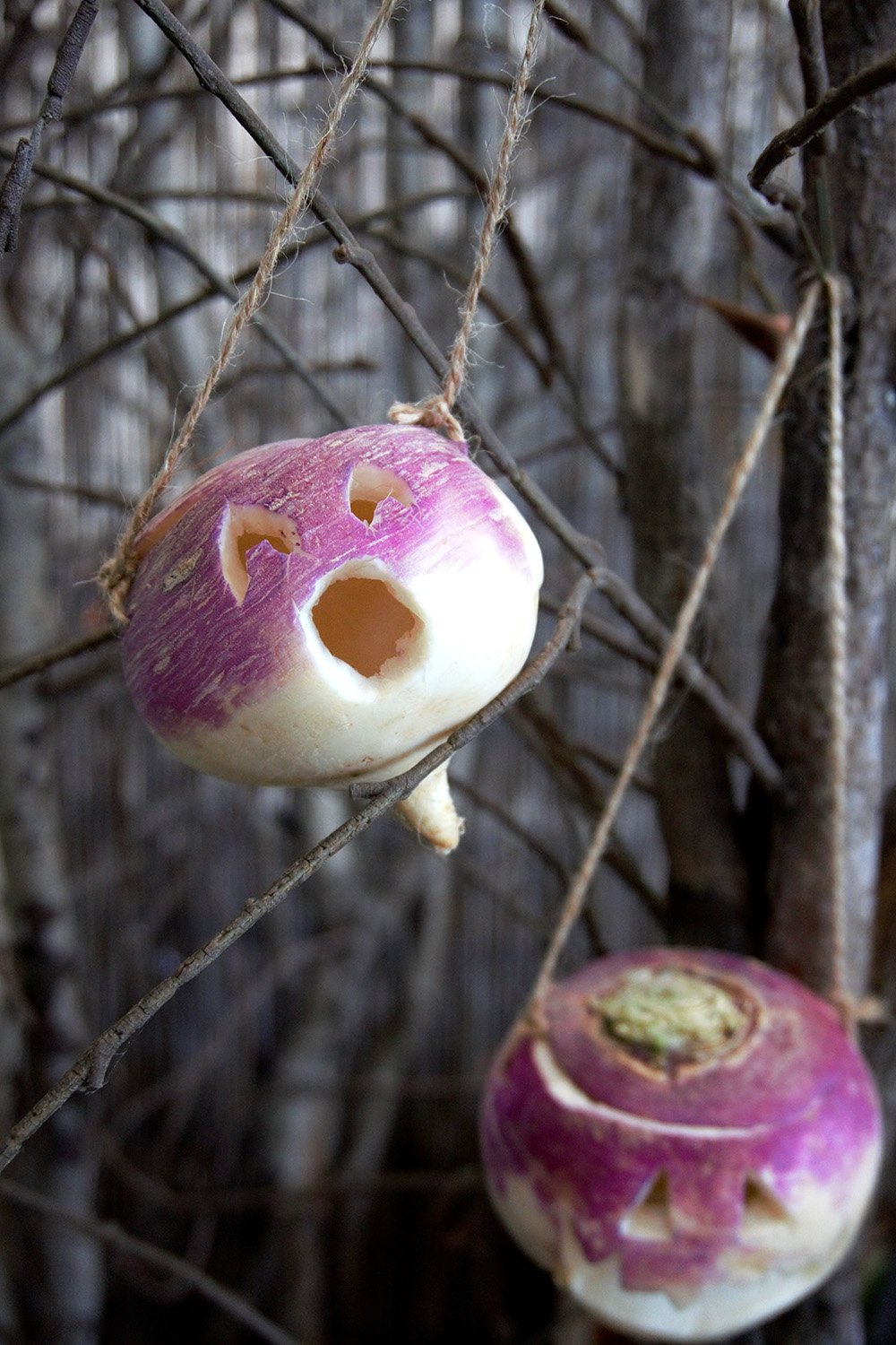 Going Back To The Roots History Of The Turnip Jack O Lantern And Why going-back-to-the-roots-history-of-the-turnip-jack-o-lantern-and-why