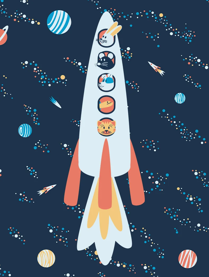 rocket.jpg