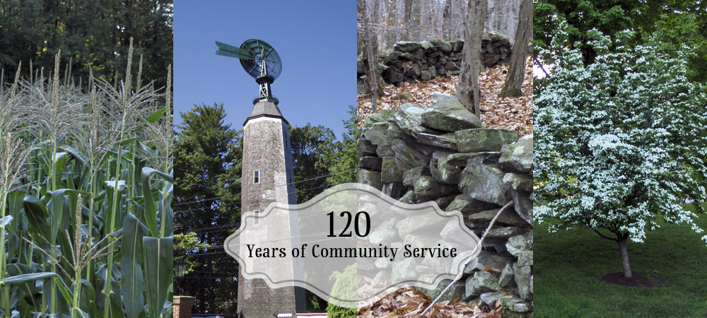 120+years.png