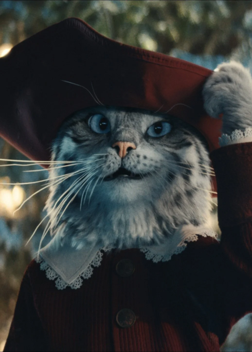 Puss.jpg