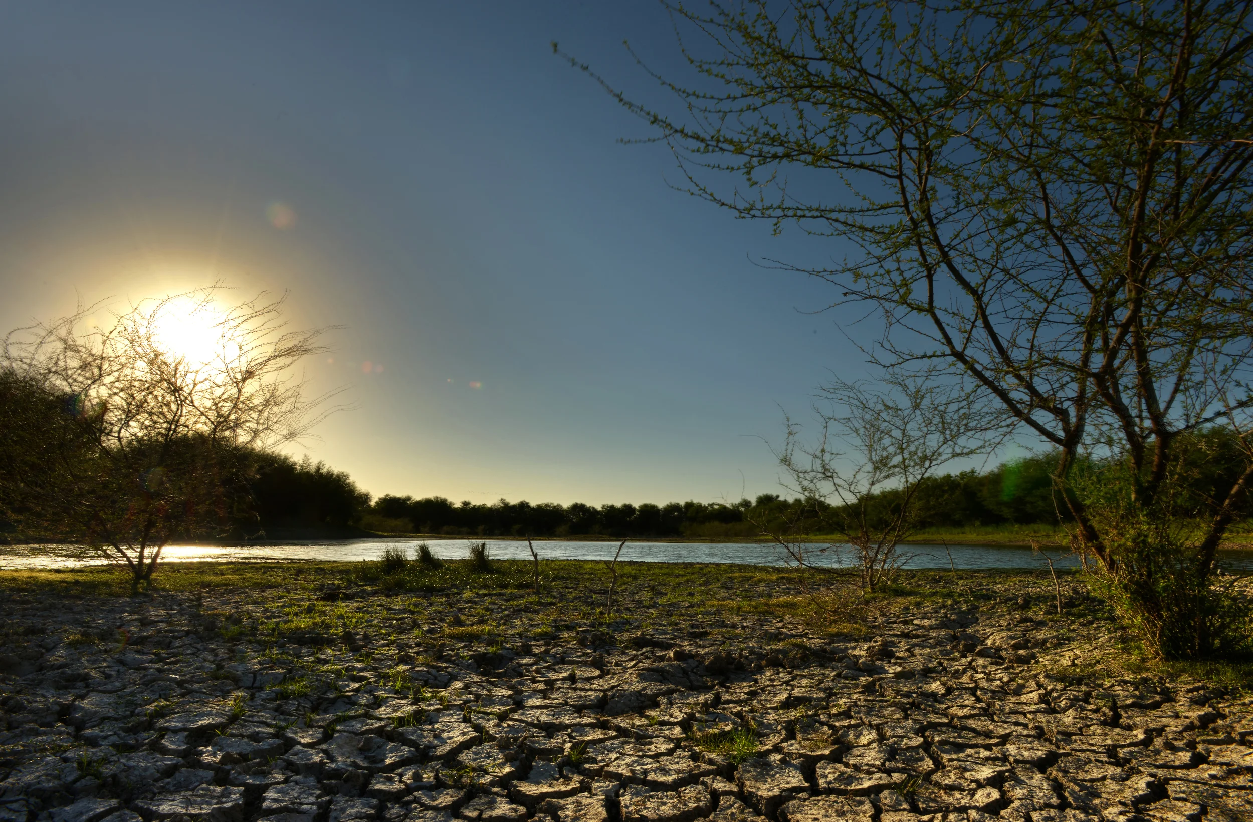 SMV_0409.jpg