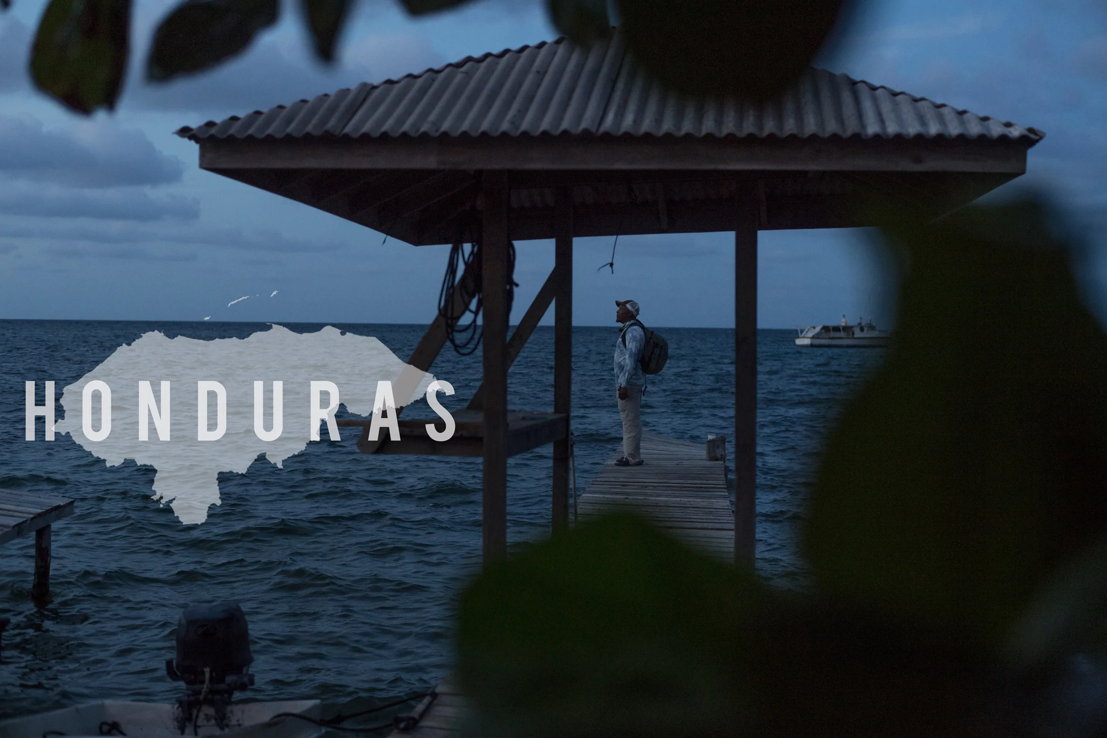 BANNER2.jpg