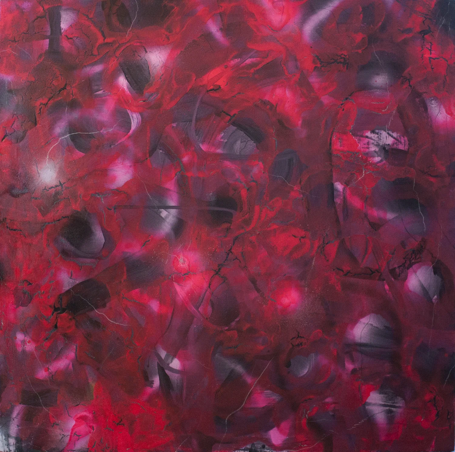 Untitled 2014 Oil & enamel on canvas 36 x 36 in.