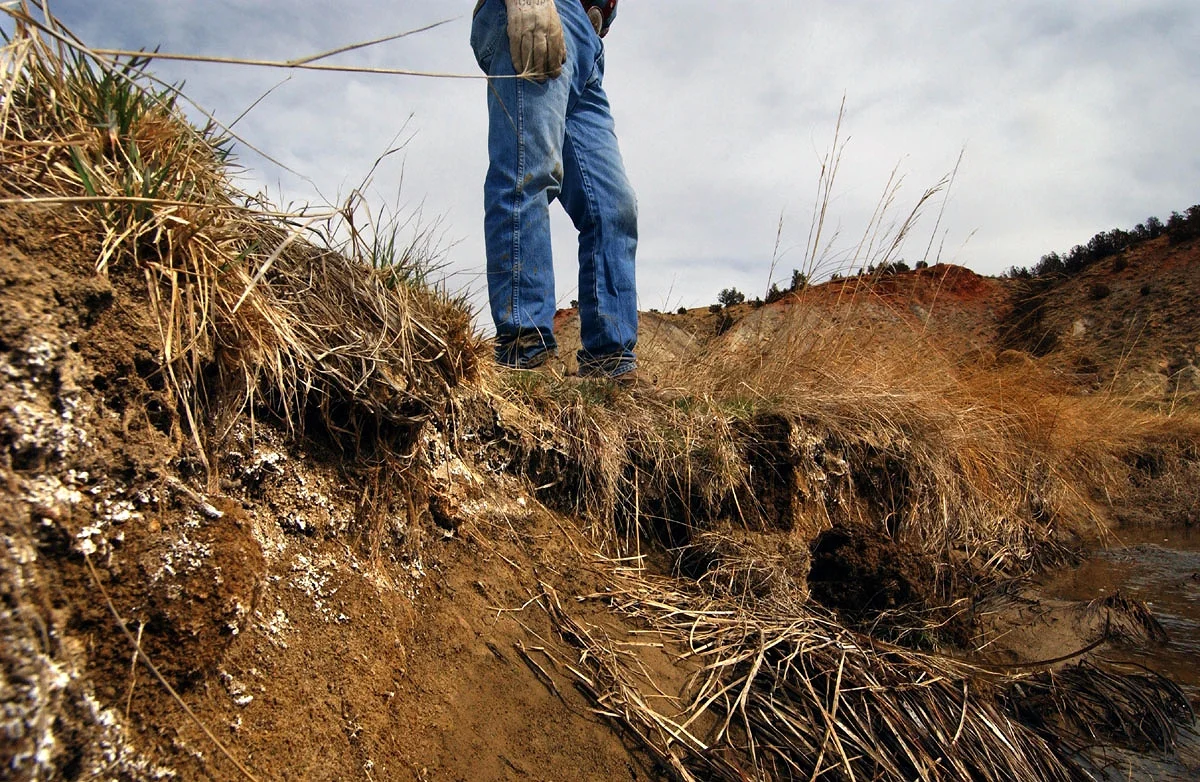  Tooter Rogers stands on top of salt deposits that line the bank of SA Creek, after only 10 days of exposure to coalbed methane product water. Two miles upstream, a generator supplies power to a pump that routes Huber's discharge water around Tooter 