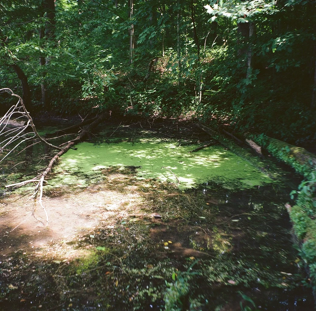 09780001.jpg