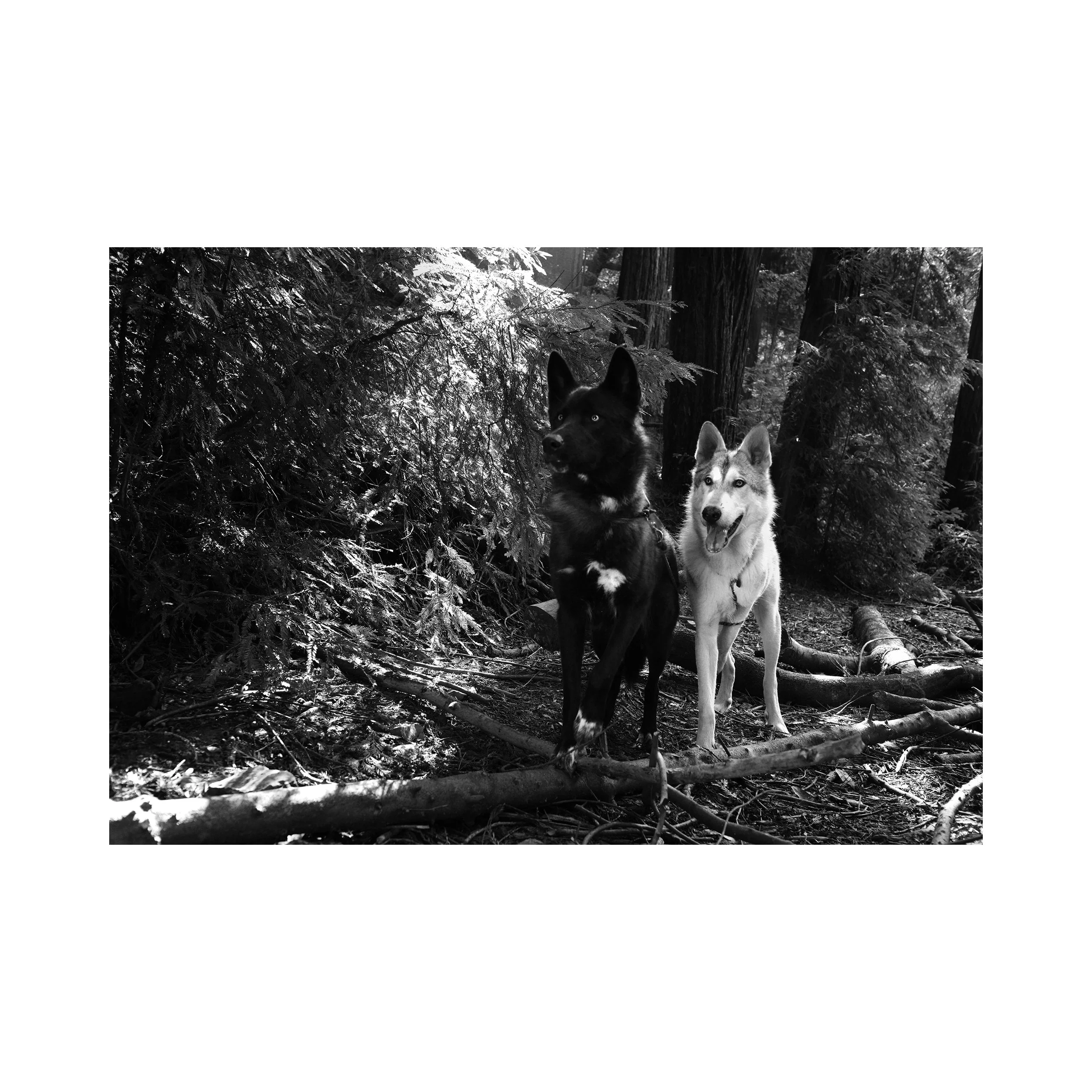 4160-13x19-WEB2.jpg
