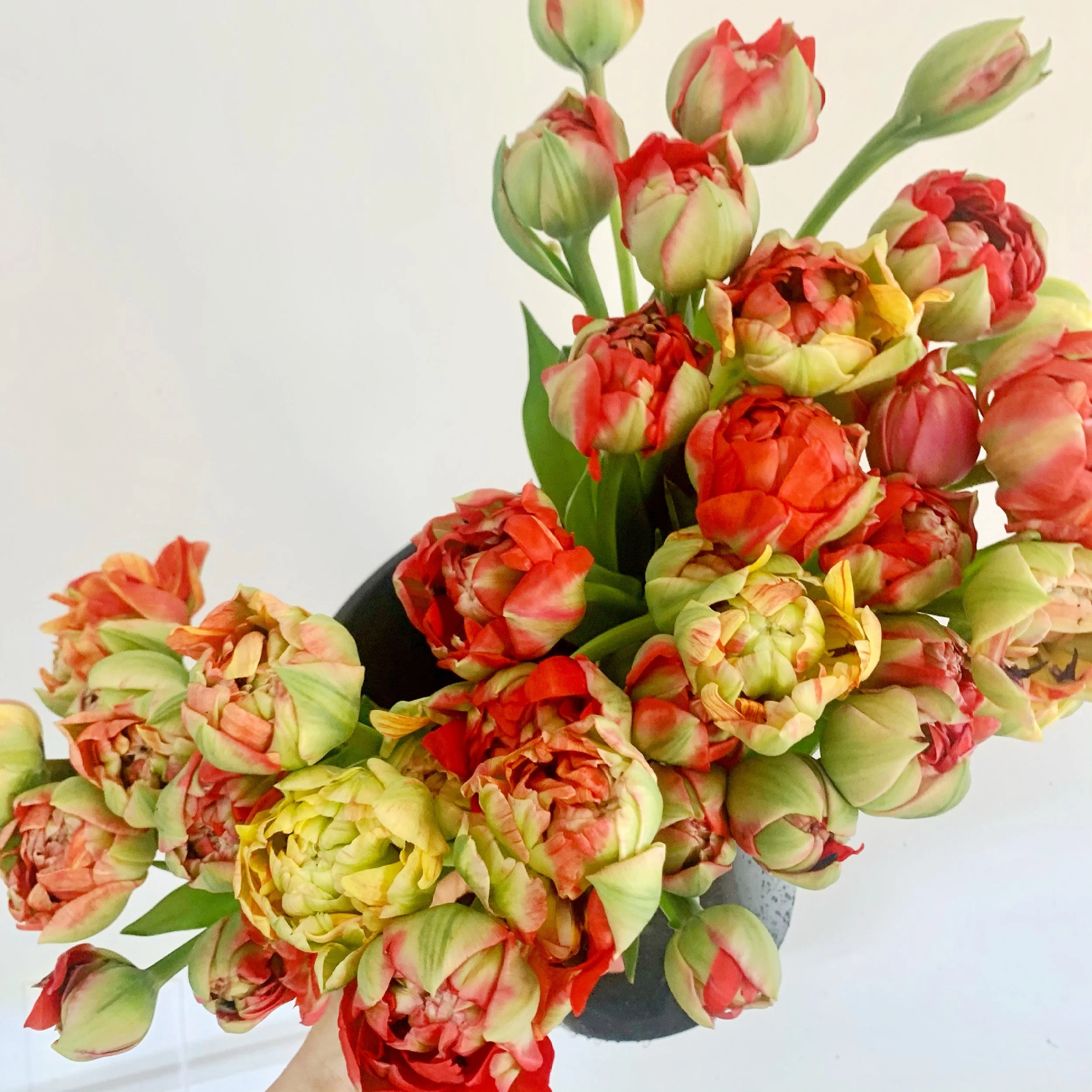 57700D1F-3F4C-46F5-BC9E-28399D5BE29F 2.JPG