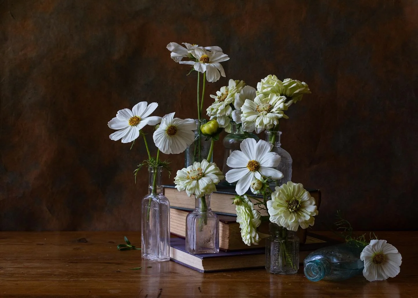 🌪️🌪️🌪️ 
Flowers @goodefarm 
Vibe @alolender 
Photo greatness @photographsbypattie