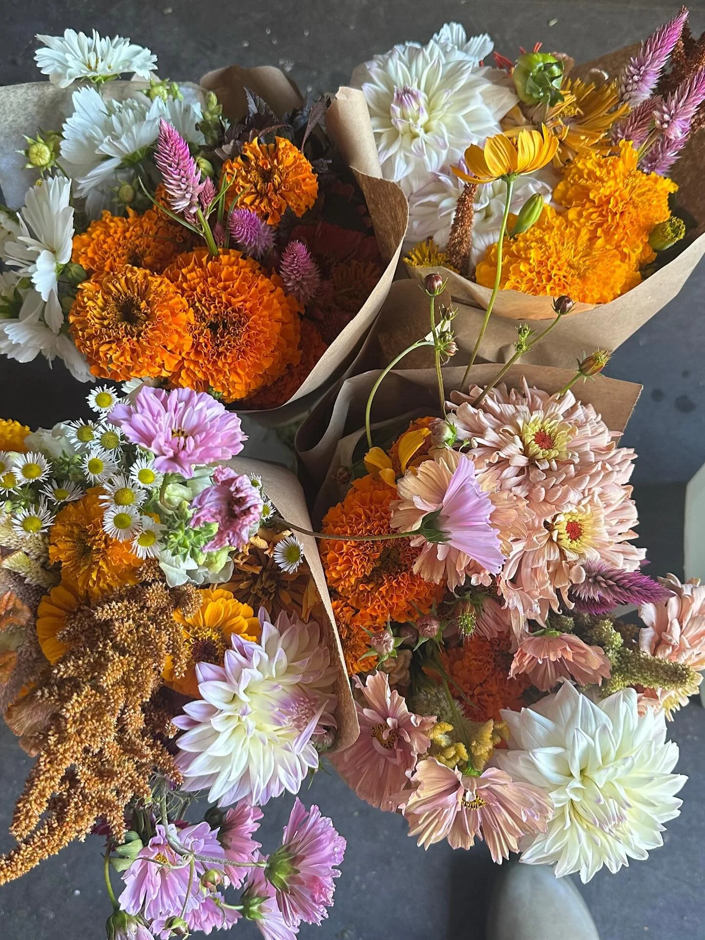 Subscription bunches for my local dearies (THANK YOU). Two more delivery weeks and onto 🌲Wreath Season. Catch us Nov 11 @ironroost for a Winter Market ☃️
