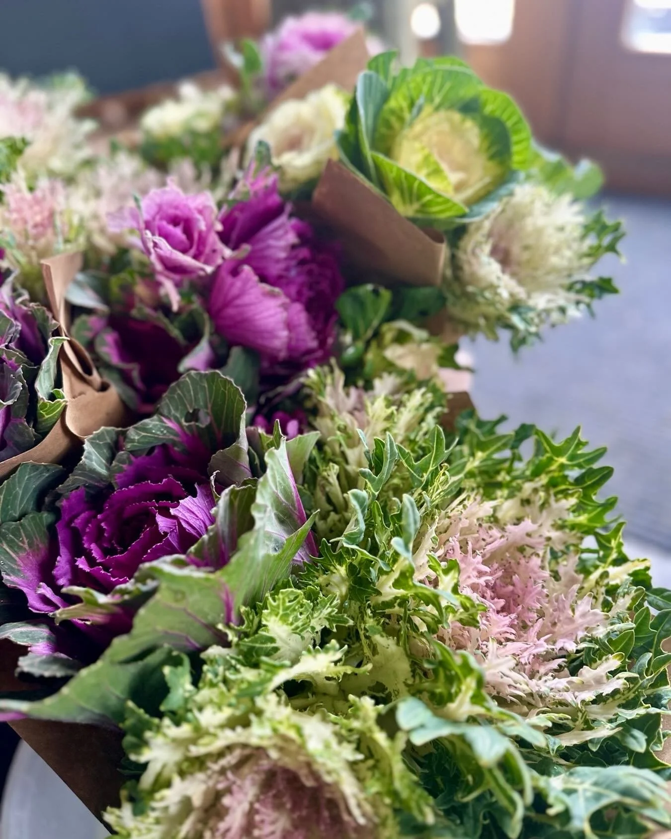 Hope you get lucky tonight☘️🌷⛳️