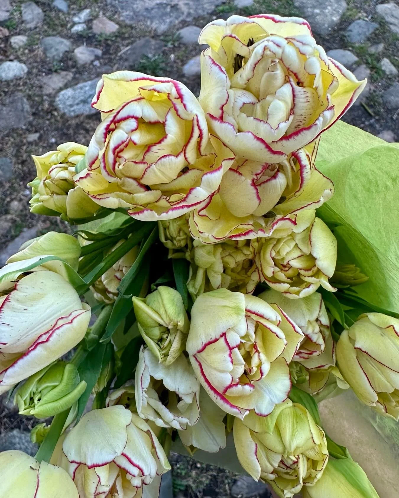 I&rsquo;m 52! Finally playing with a full deck. 🪩✨&clubs;️