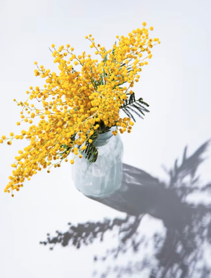 Screenshot 2026-01-06 at 7.09.51 PM.png