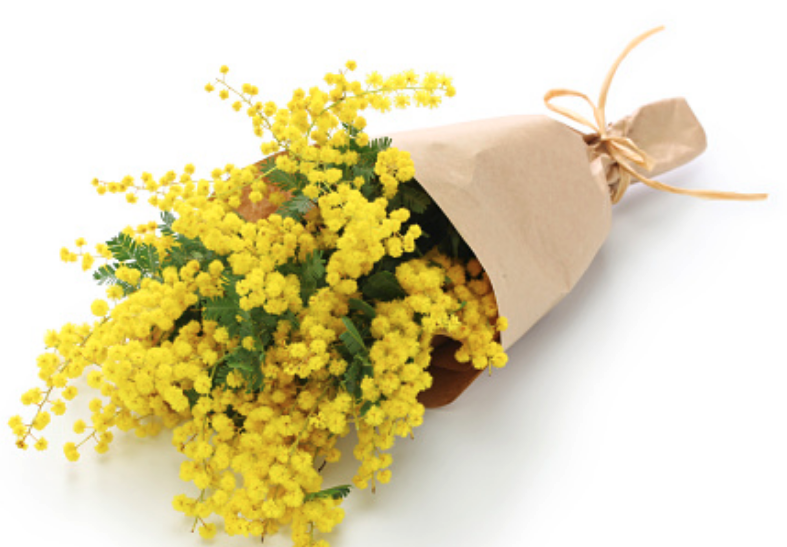 Screenshot 2026-01-06 at 7.20.29 PM.png