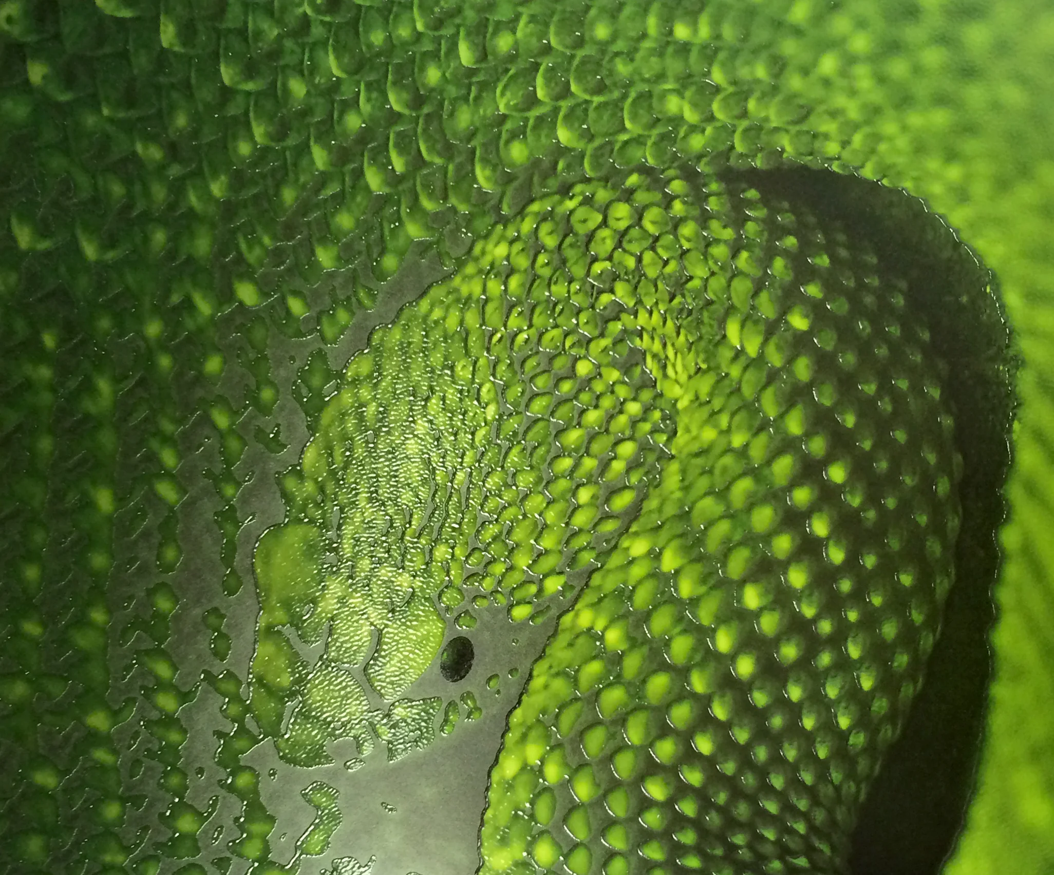 Spot Raised UV Coating