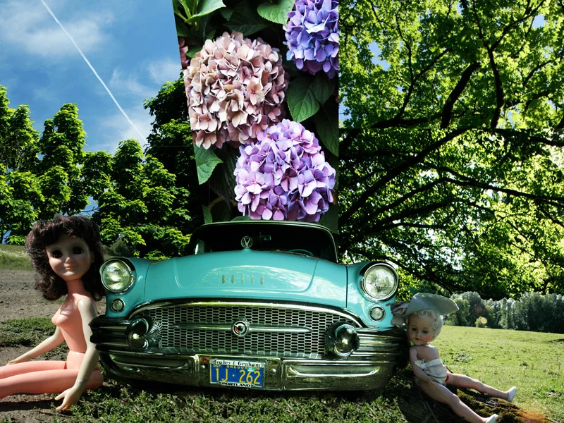 Dolls in a Field