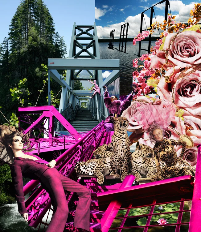 Pink Leopard