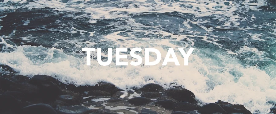 Tuesday.jpg
