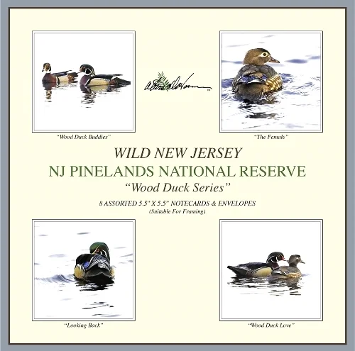 Wood Duck Notecard Insert.jpg