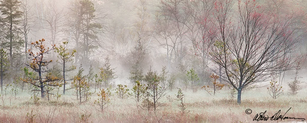 "Friendship Mist" - (C)