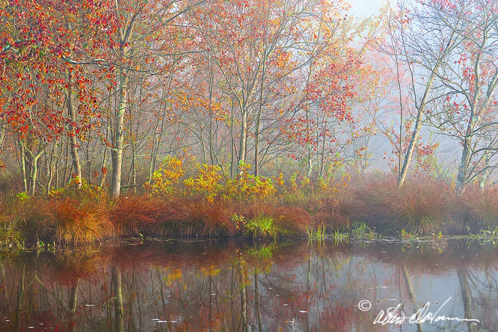 "Mullica Bank II" - (D)