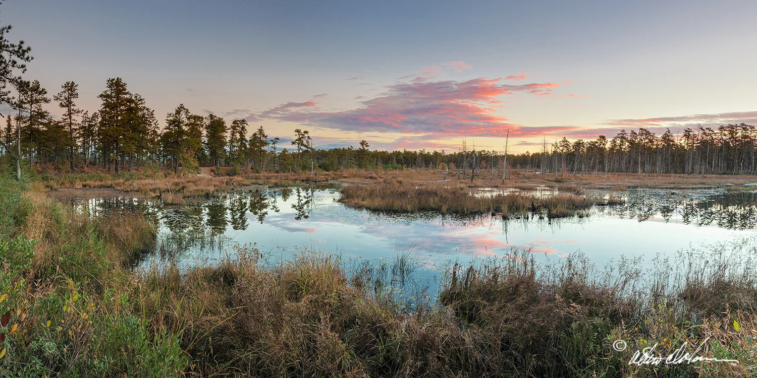 "Mullica Bend Basin" - (D)