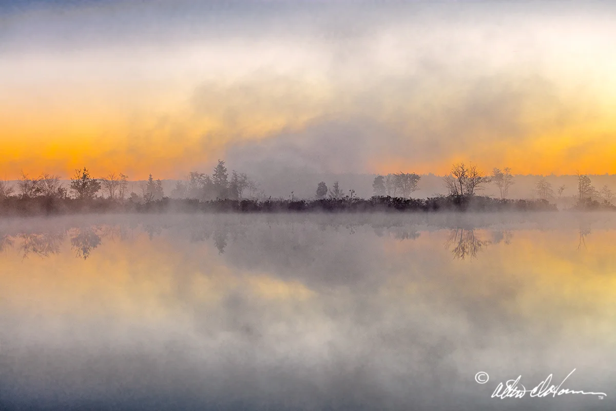 "Dancing Mist" - (A,E,F)