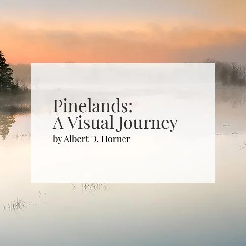 Pinelands---a-visual-journey---Pinelands-Imagery---By-Albert-D-Horner.jpg