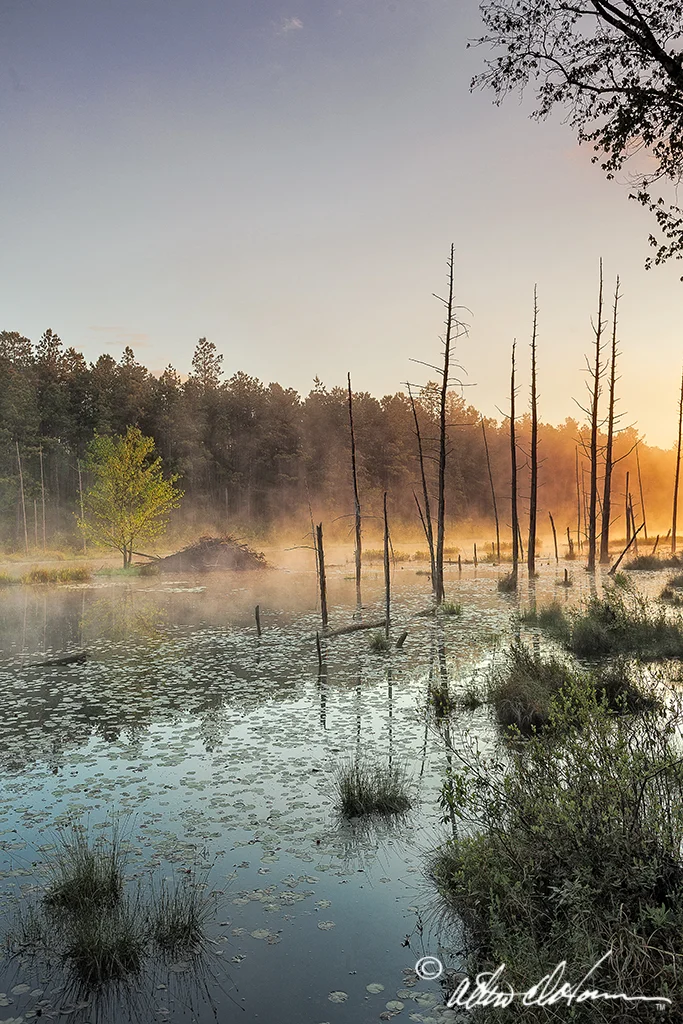 Roberts Branch Sunrise (A, E & F)
