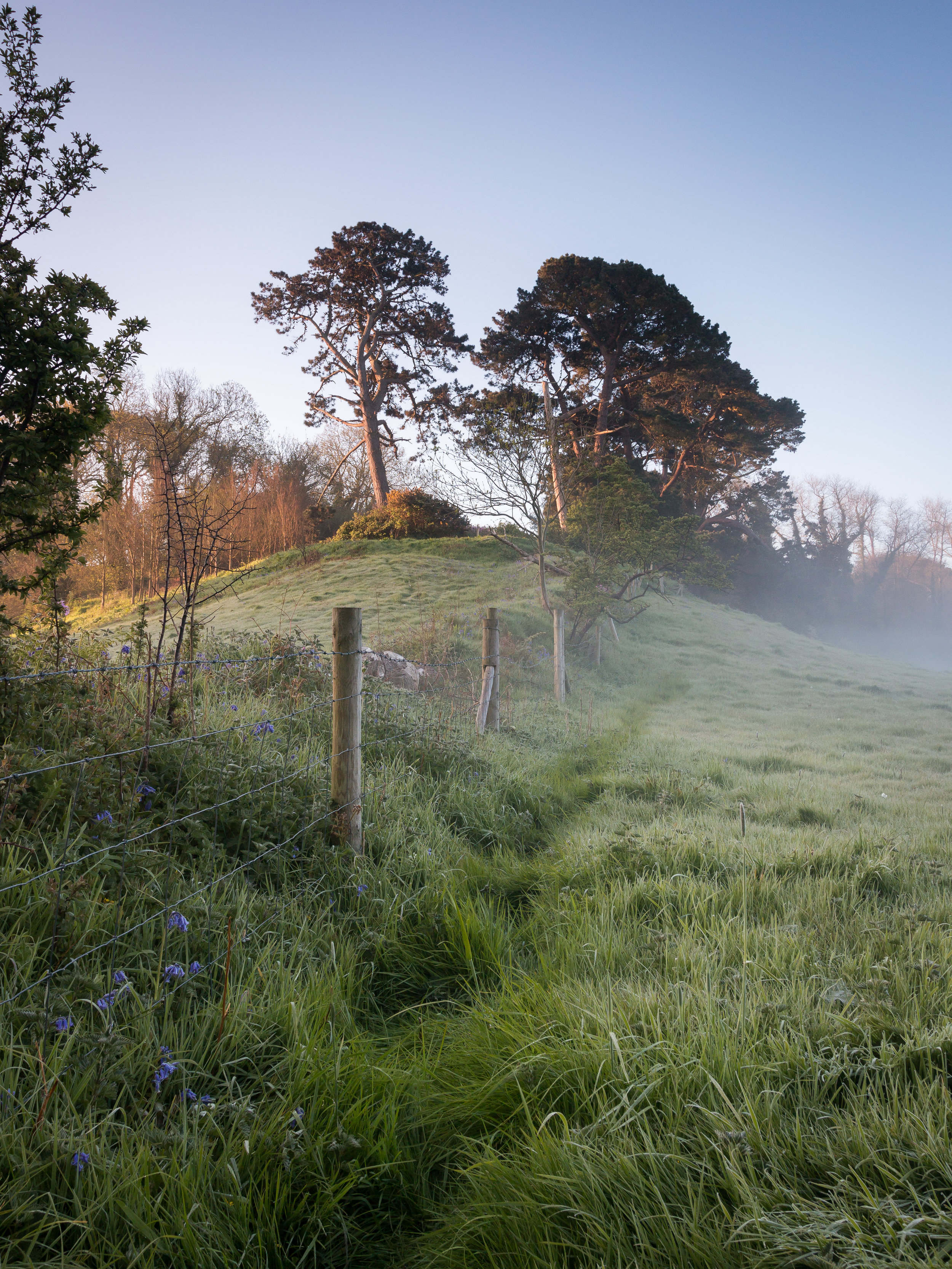 Talbot Valley Mist II