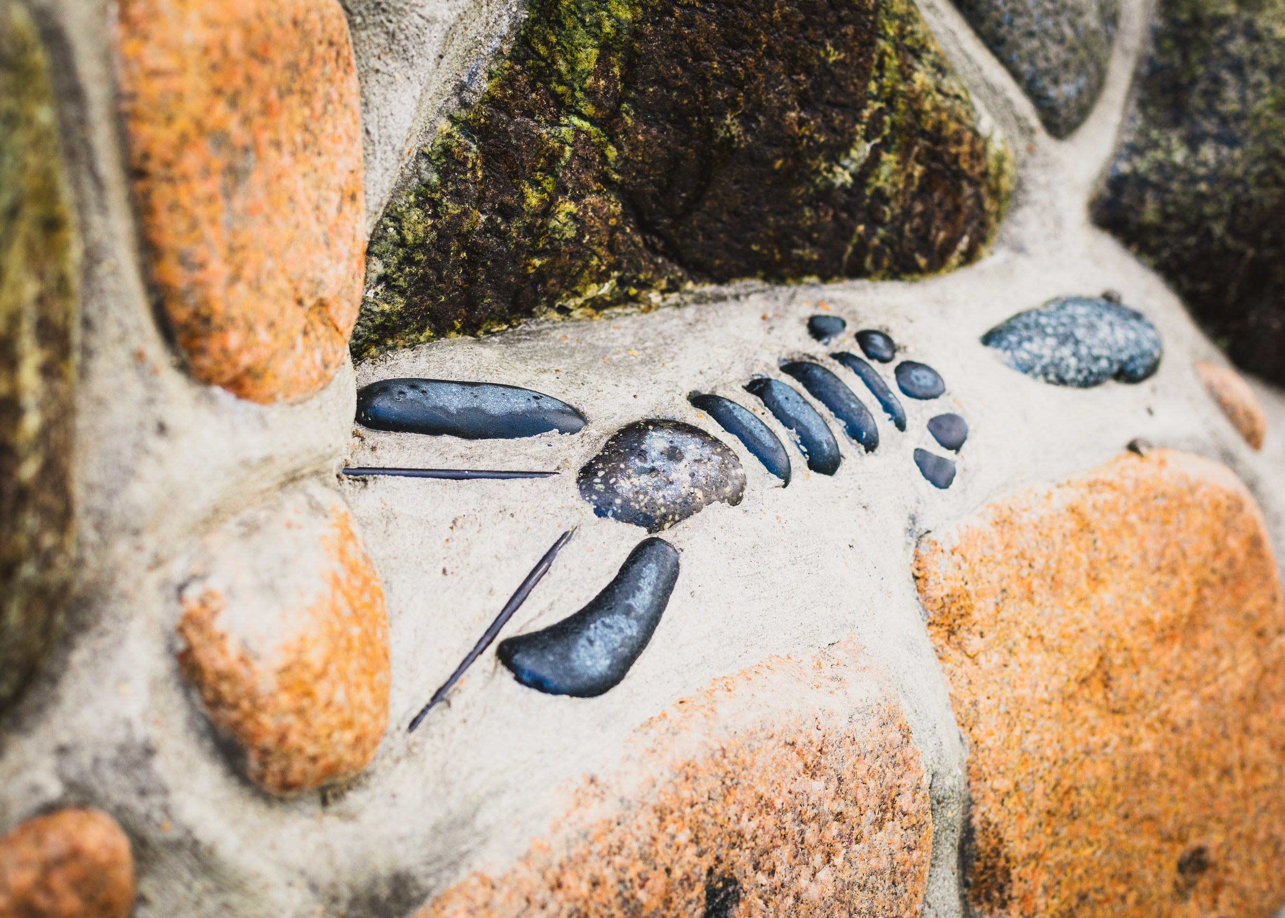 Canon EOS 5D Mark IV - EF50mm f1.450mm / ƒ/3.5 / 1640s / ISO 400
