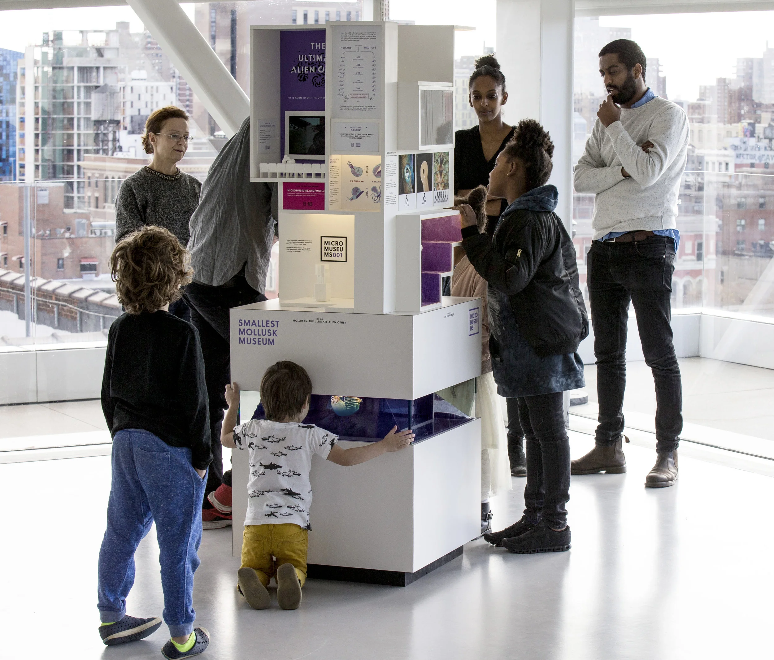 MICRO's Smallest Mollusk Museum explores the last 650 million years of life on earth_Credit_MICRO.jpg