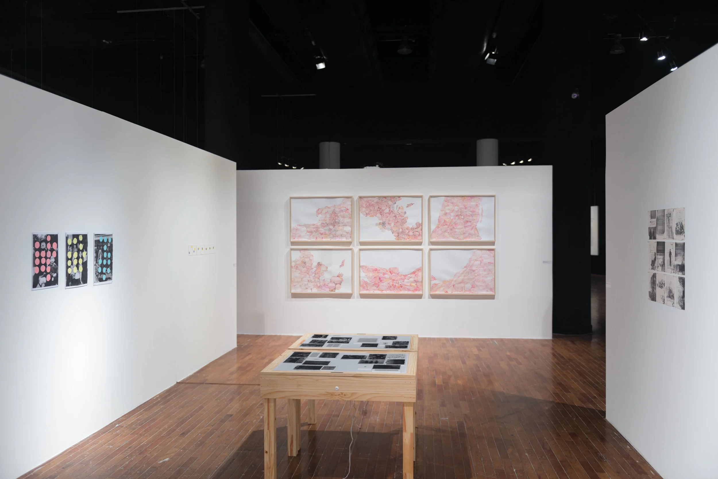   Organismo , 2012–2013&nbsp;[registro na 45º anual da FAAP]&nbsp; Conjunto de aquarelas sobre papel 210 x 300 cm  Foto: Edouard Fraipont 