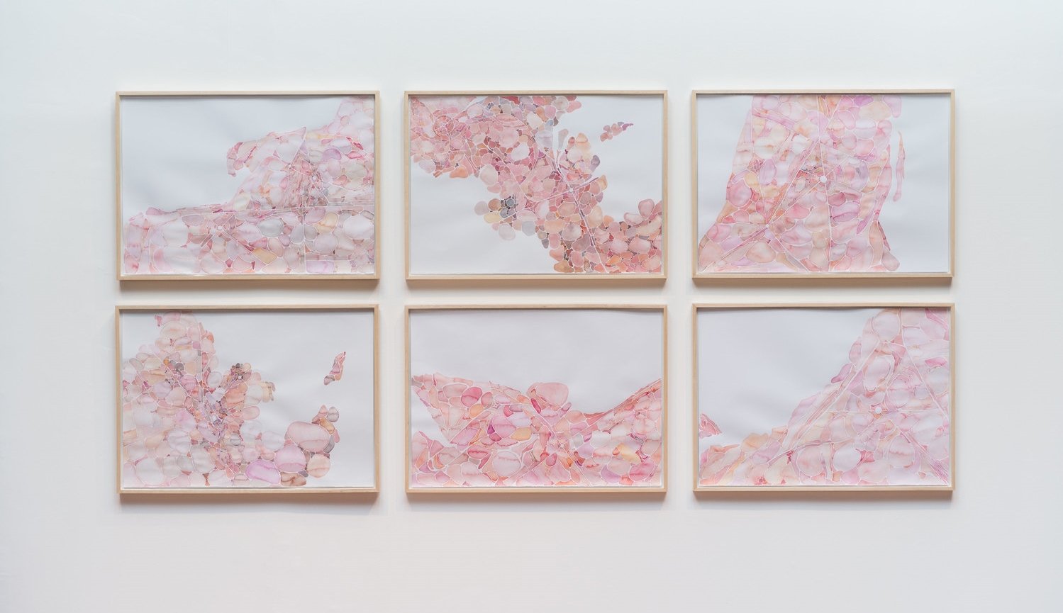 Organismo , 2012–2013 Conjunto de aquarelas sobre papel 210 x 300 cm Foto: Edouard Fraipont
