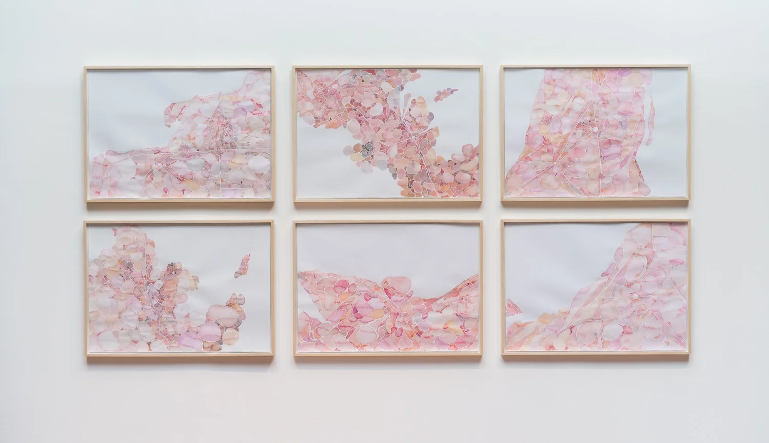 Organismo , 2012–2013 Conjunto de aquarelas sobre papel 210 x 300 cm Foto: Edouard Fraipont