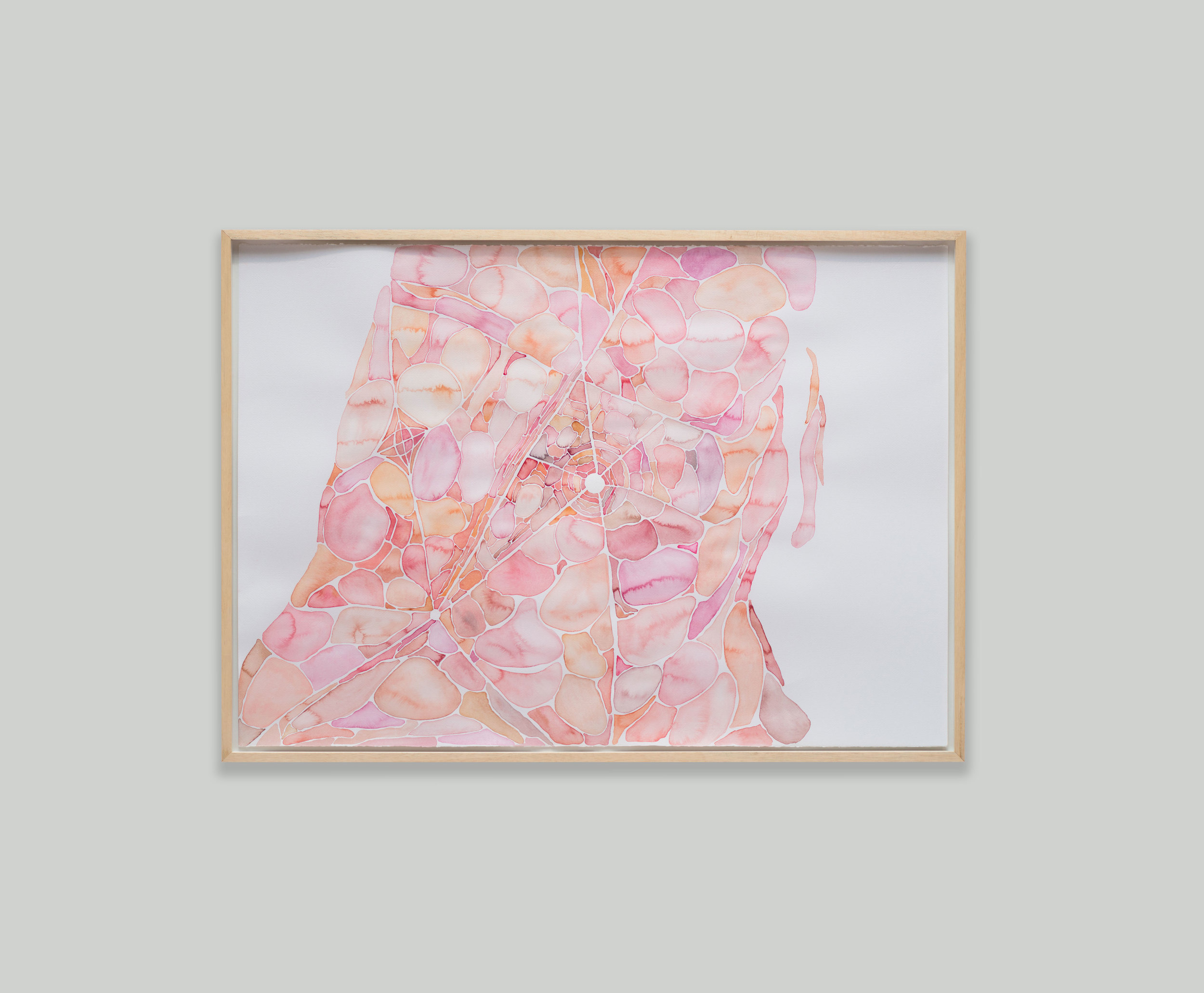 Organismo - Moema , 2013 Conjunto de aquarelas sobre papel 70 x 100 cm Foto: Edouard Fraipont