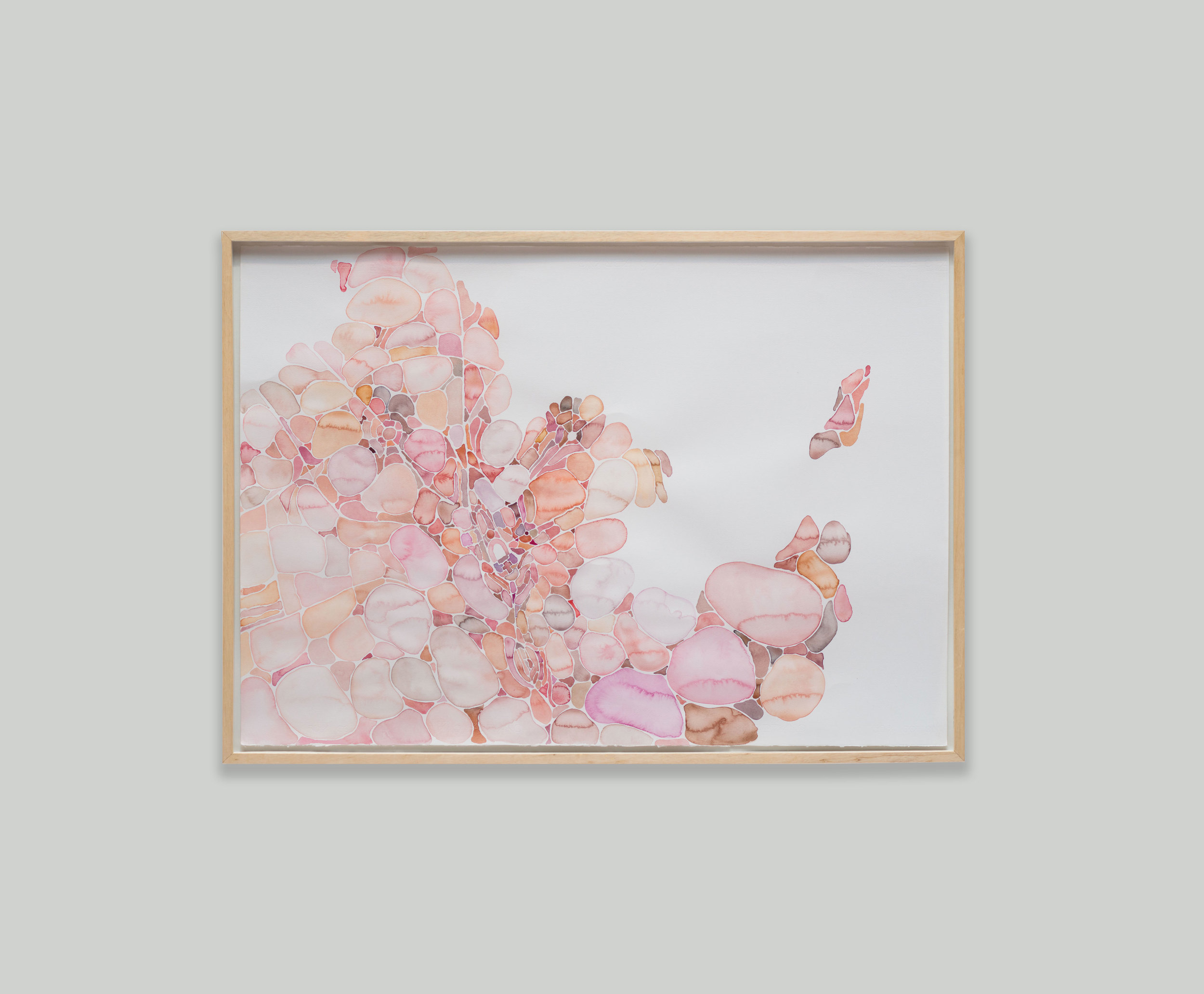 Organismo - Consolação , 2013 Conjunto de aquarelas sobre papel 70 x 100 cm Foto: Edouard Fraipont