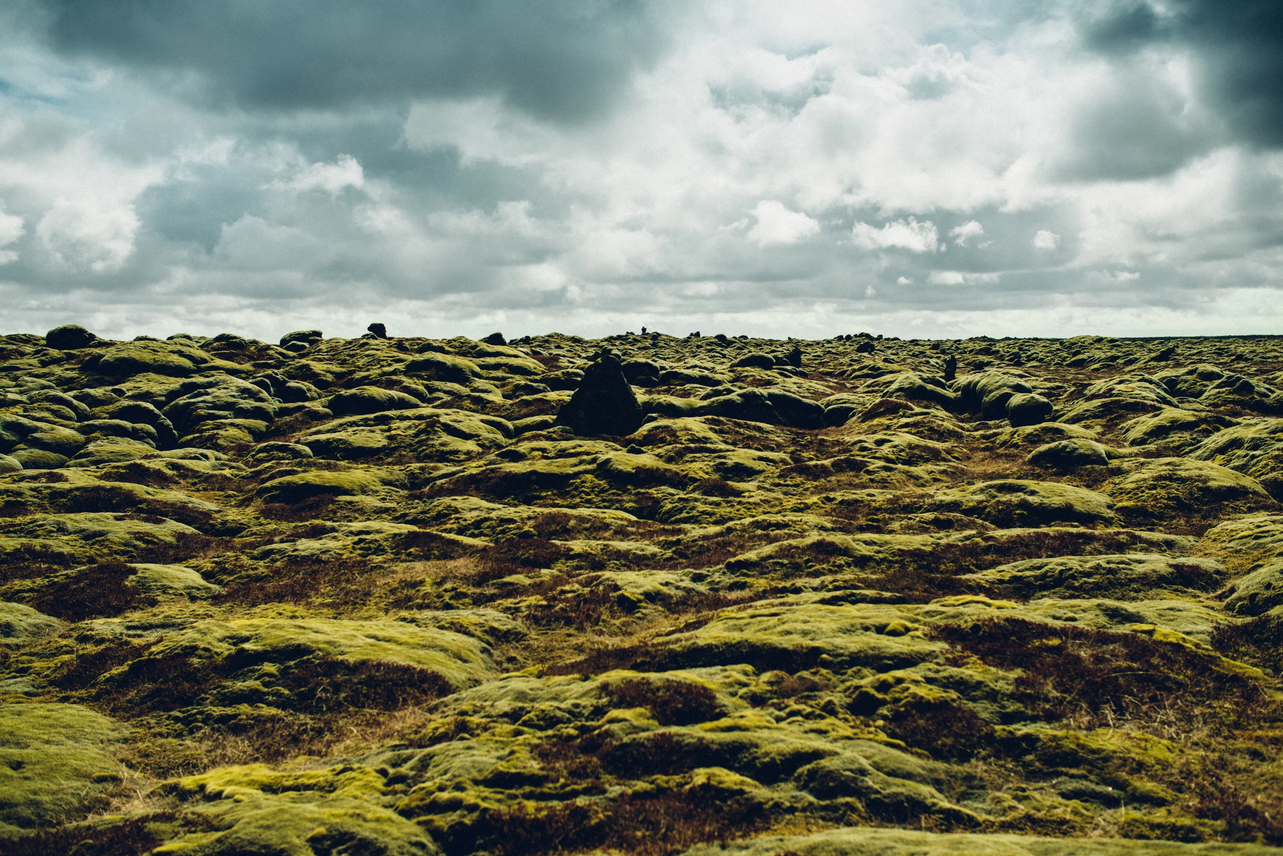 Iceland-59.jpg