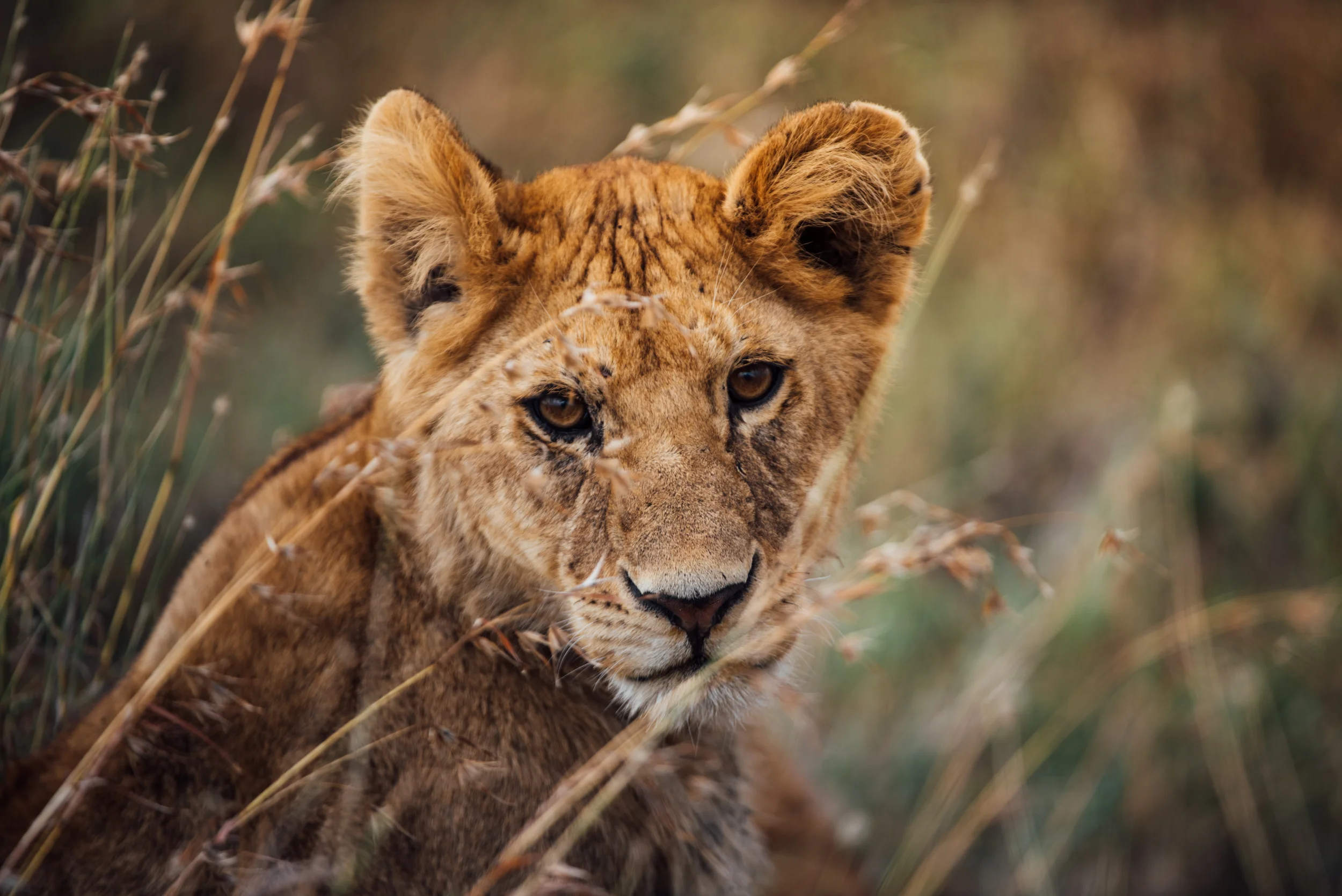 Africa_Web-56.jpg
