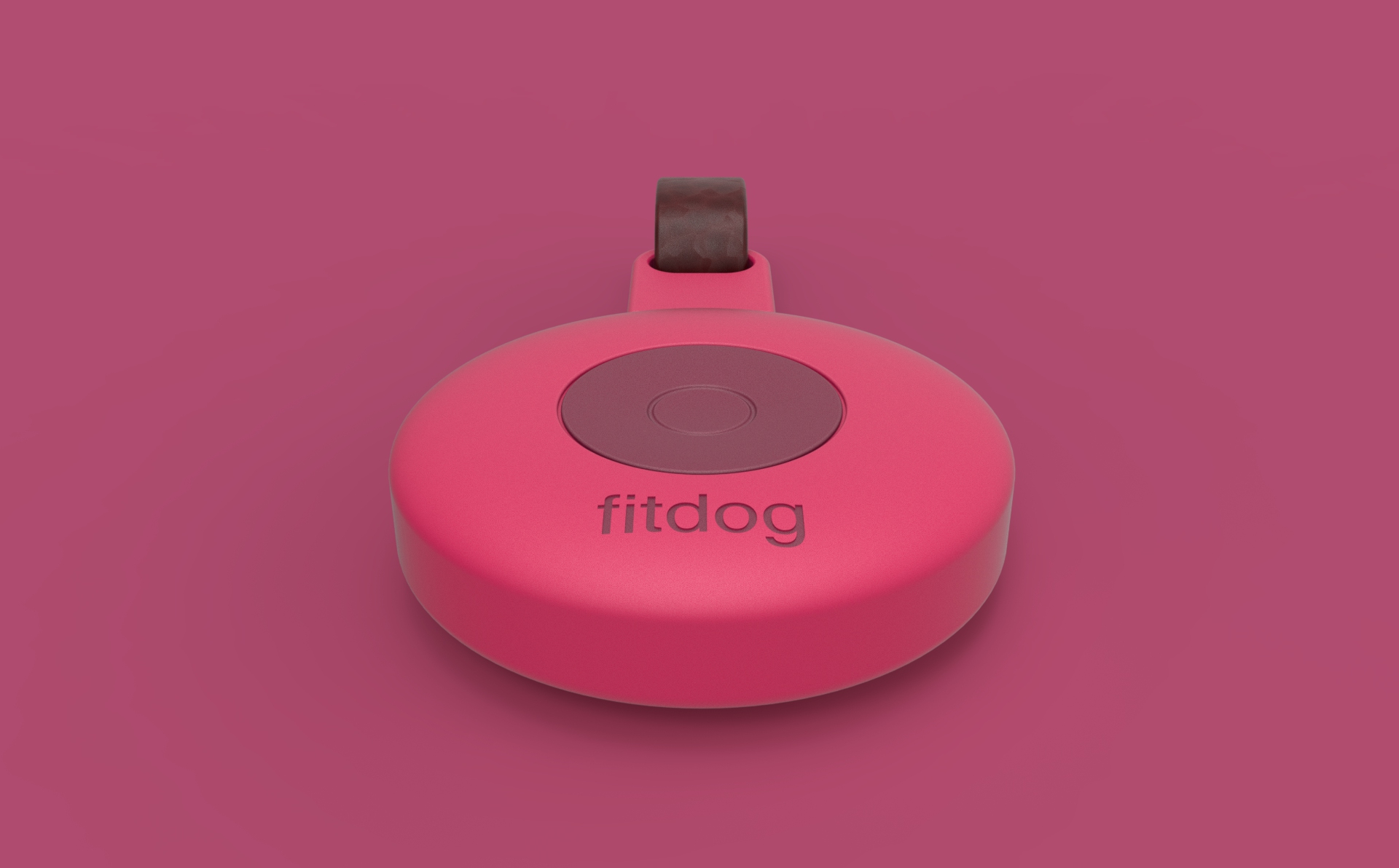 fitdog aggo design studio 004.jpg