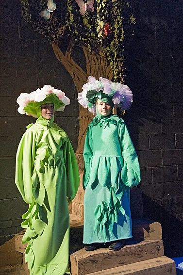 ALC-0043D Alice in Wonderland, Harlequin Theatre, Northwich, Cheshire.jpg
