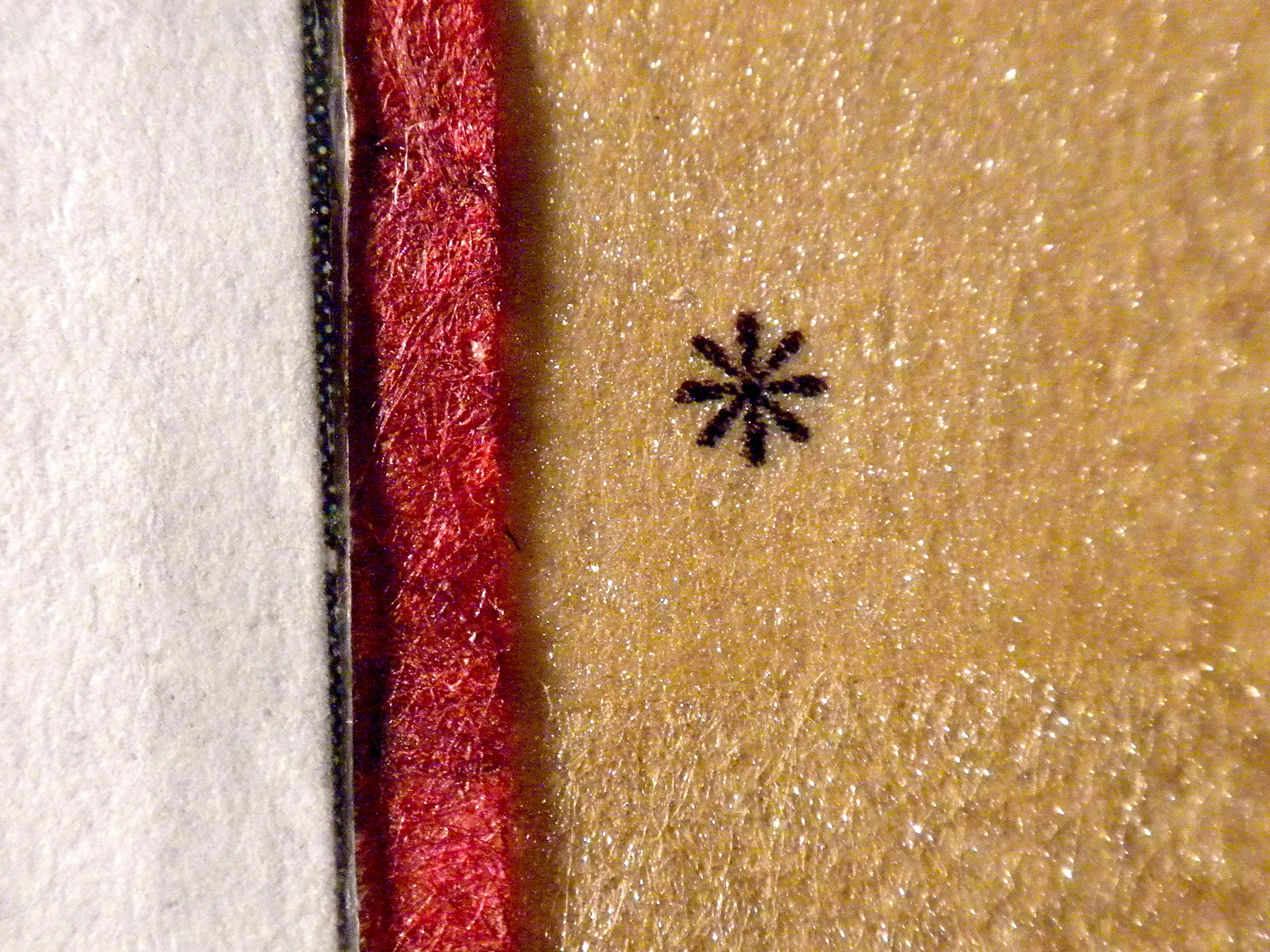 DSCN1631.JPG
