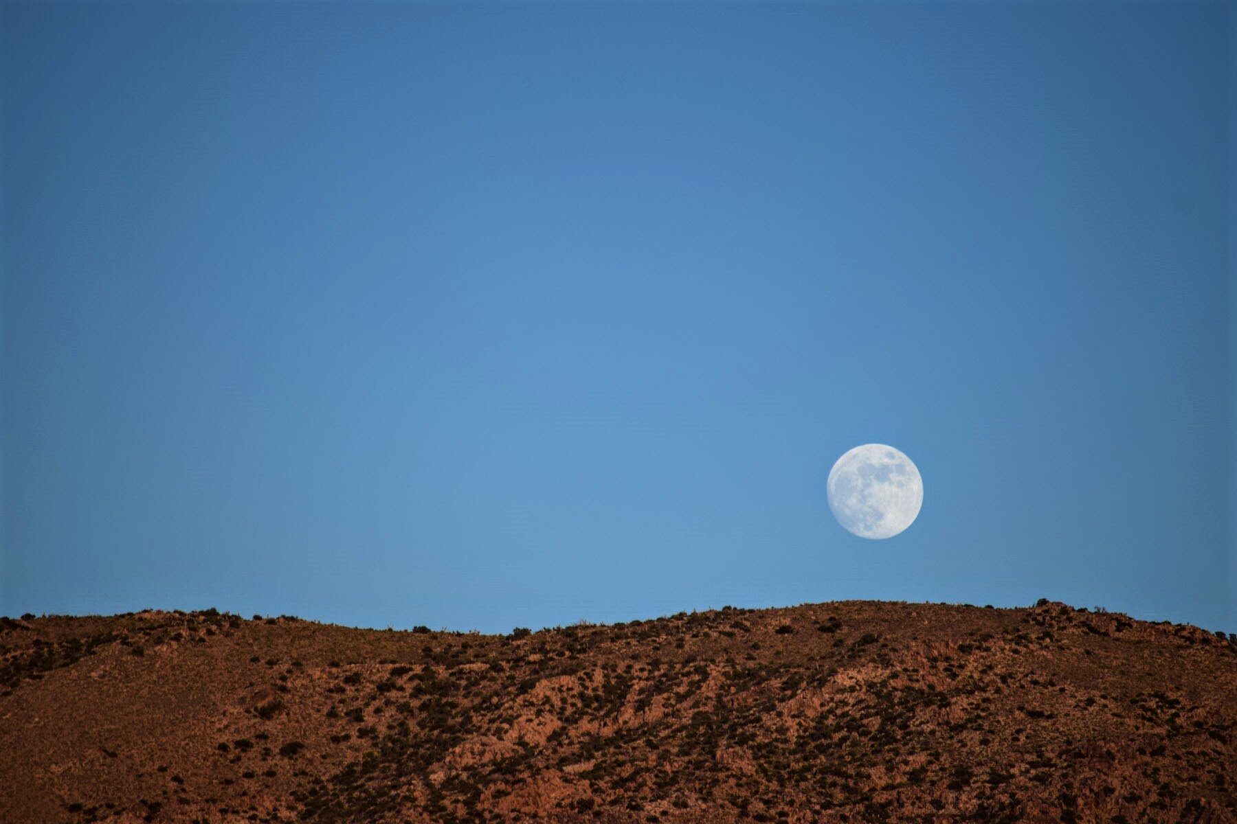 Desert Moon.JPG