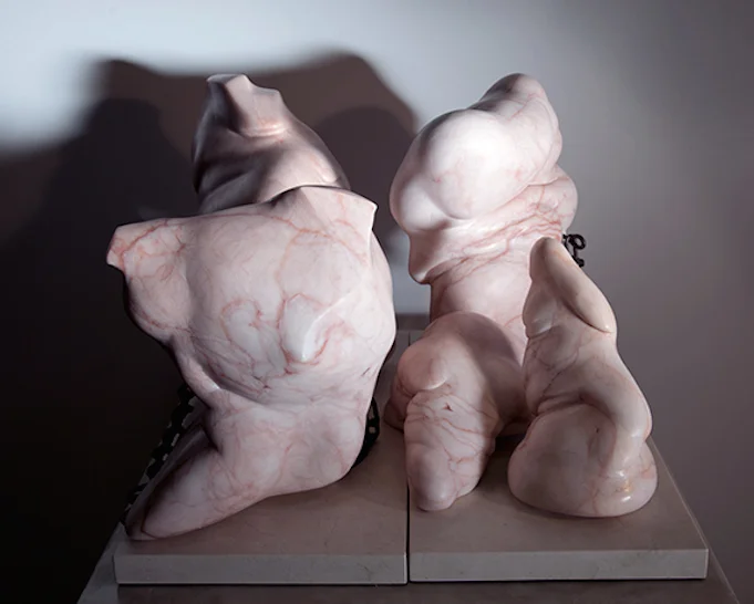 "Flesh Fold Series"