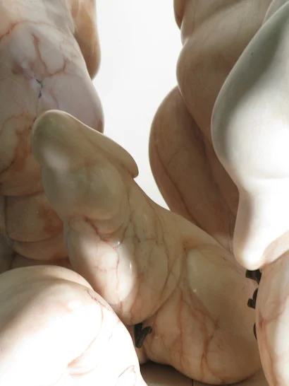 Fleshfolds Series