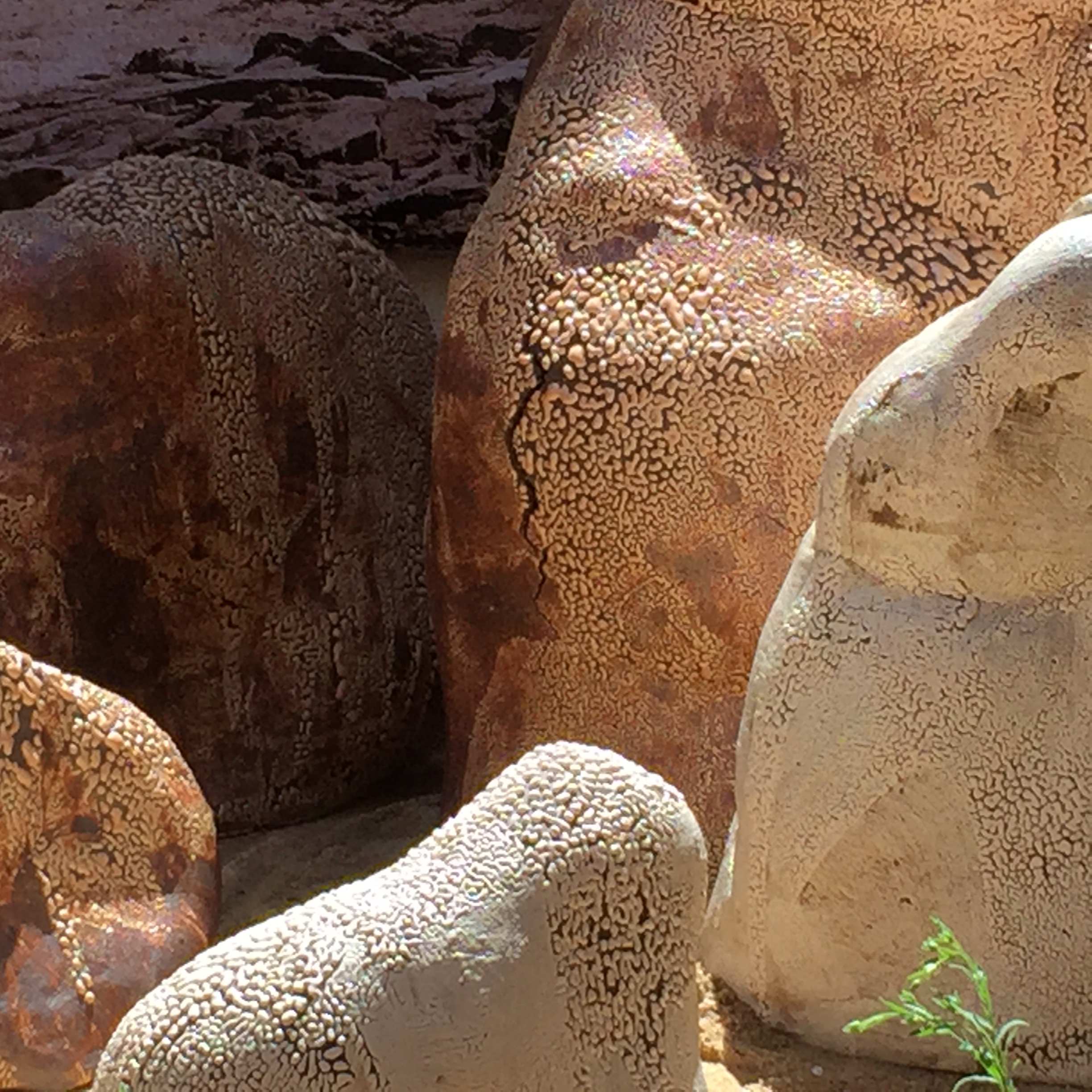 ceramic Installation
