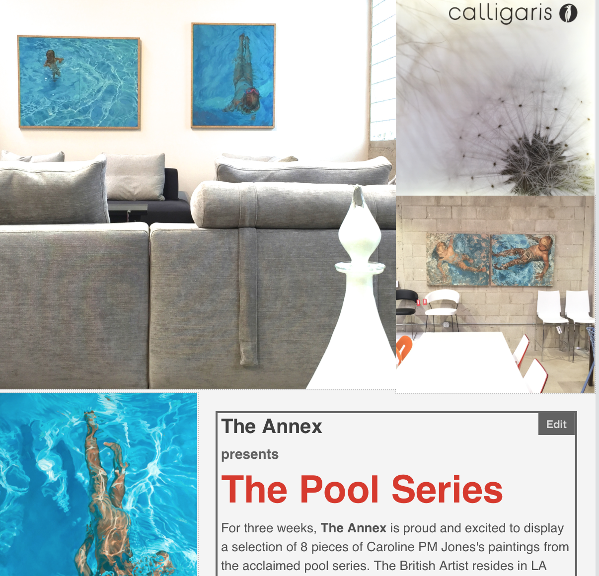 The Annex @ Calligaris "the POOL series".