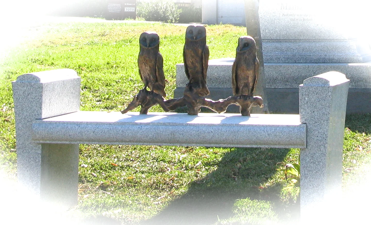 Bronze Owls on bench
