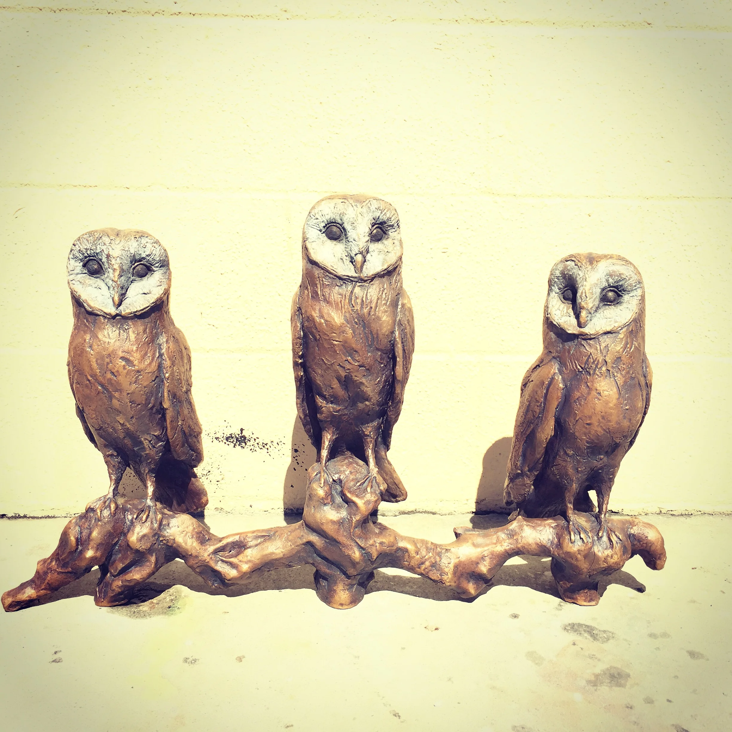 Owls