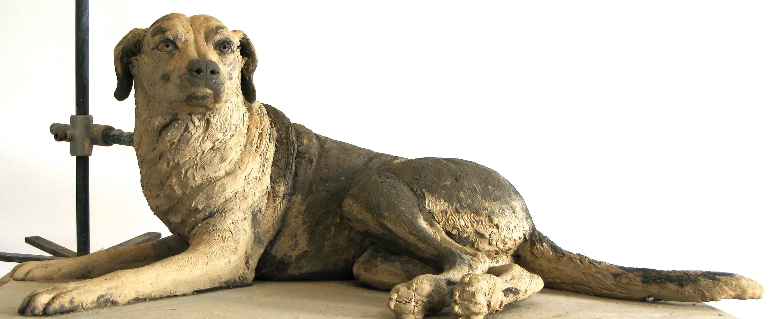 IMG_5679 - Version 2.JPG