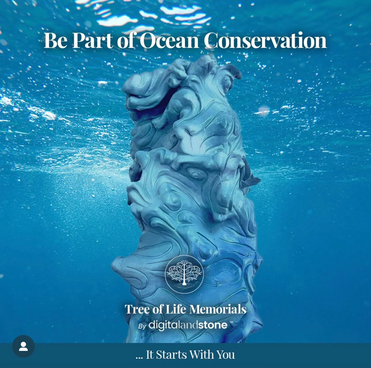  Ocean Bloom Beverley Hills November 2023 